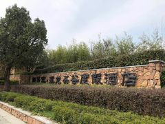 -帐篷客·溪龙茶谷度假酒店