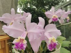 -国家植物园南园