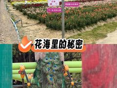-广东花都香草世界旅游度假区