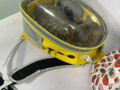 -天时宠物医院24小时疑难病例会诊中心(顾乡大街总院)