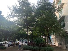 -广东科技学院(南城校区)