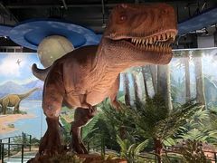 -陕西自然博物馆