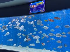-合肥海洋世界