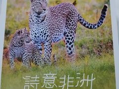 -好利来(团结湖店)