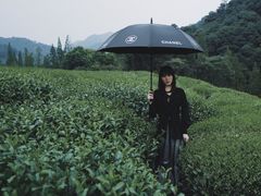 -中国茶叶博物馆(双峰馆区)