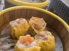 招牌蟹黄烧卖皇-香港威特瑞茶餐厅(小白楼音乐厅店)