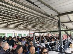 -狼牙山风景区