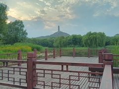 -北坞公园