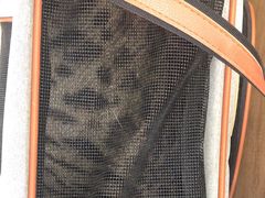 -艾贝尔宠物医院·24H转诊中心·肿瘤猫专科(江宁双龙店)