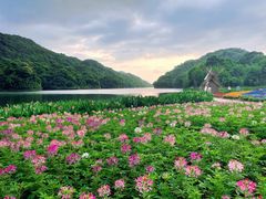 -广州市石门国家森林公园