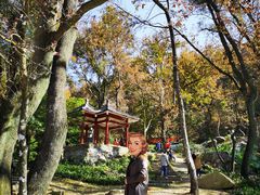 -广州市石门国家森林公园