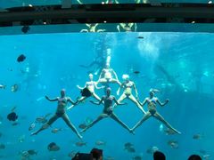 -瑞德姆美人鱼海底演艺主题餐厅(亚龙湾店)