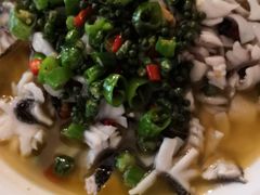 -三猫黑鱼花(南大店)