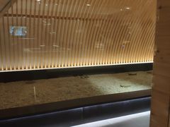 -钓鱼岛洗浴休闲会馆(卫星路店)