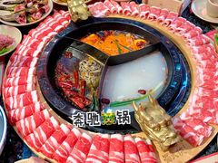 -蜀大侠火锅(森兰花园城店)
