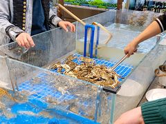 -半岛听涛蒸汽海鲜自助(K11店)
