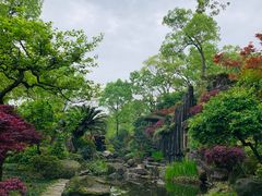-南山植物园