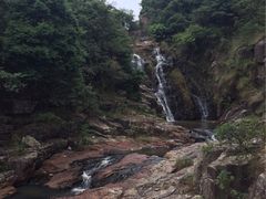 -银瓶嘴森林公园