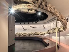 -自贡恐龙博物馆