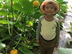 -万源龙顺度假庄园生态观光园