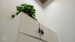 -YDO SALON