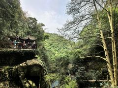 -莫干山风景区