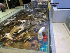 -集品鲜湾·蒸汽海鲜自助料理(青岛银座和谐广场店)