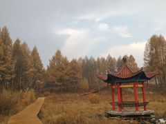 -塞罕坝国家级自然保护区