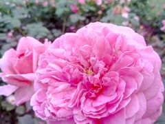 -人民公园(罗湖区)