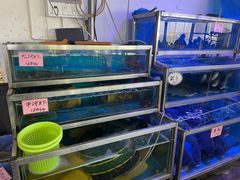 -八仔大富楼·河鲜(西江店)