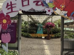 -南宫五洲植物乐园