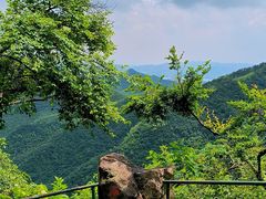 -莫干山风景区