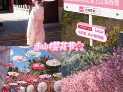 -石岛赤山风景区