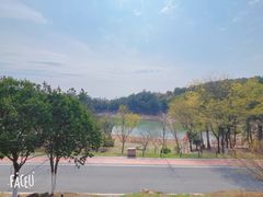-南京市无想山景区