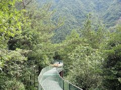 -龙井峡漂流