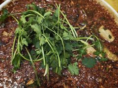 -胖大姐黄辣丁鱼庄(新津店)