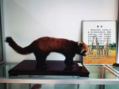 -辽宁大学(崇山校区)