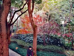 -汇龙潭