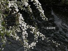 -中国茶叶博物馆(双峰馆区)