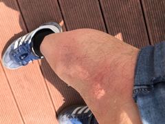 -漩门湾国家湿地公园