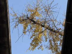 -蒋氏故居