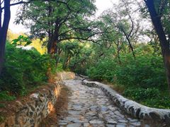 -阳台山自然风景区