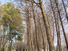 -苏州太湖国家湿地公园