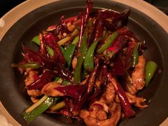 -毛辣果·酸(OHA复兴西路店)