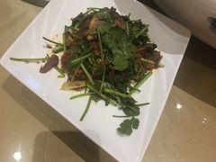 -成都天府丽都喜来登饭店