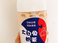 -猫的魔法密林(衣裳街店)