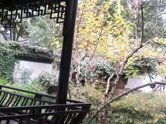-秋霞圃