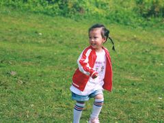 -武陵山森林公园