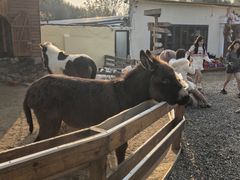 -HERRE·FARM 赫尔露营农场·团建聚会包场