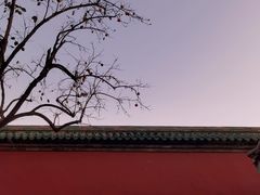 -天坛公园